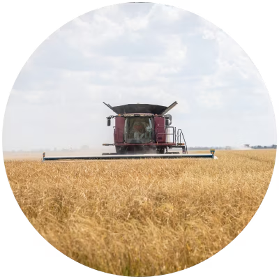 reduced tillage