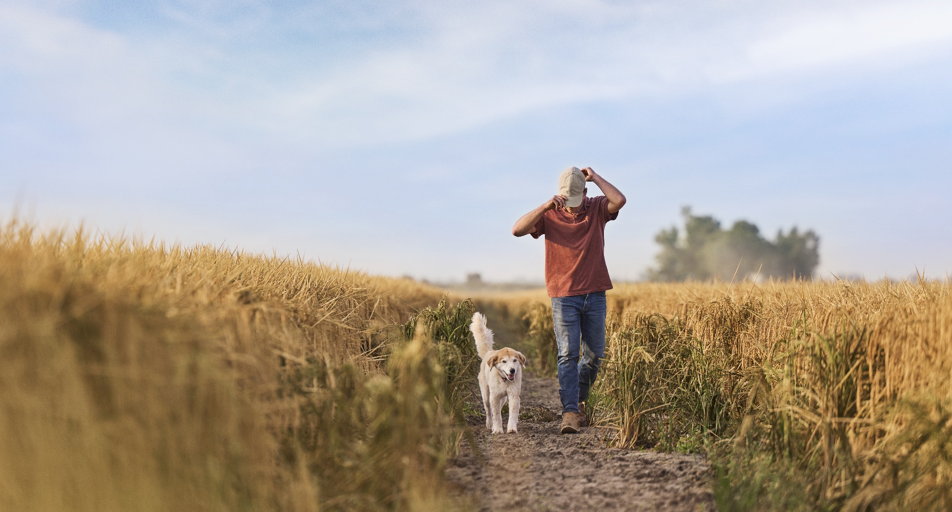 purina-sustainability-farming