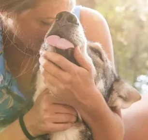 Giving Up a Dog for Adoption