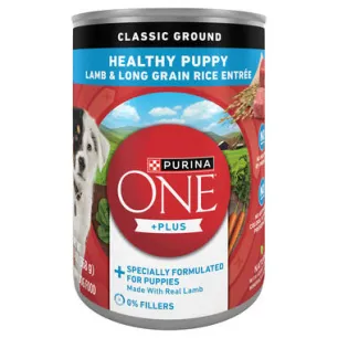 Purina ONE® +Plus Classic Ground Healthy Puppy Lamb & Long Grain Rice Entrée, 0.8 LB (368 g)