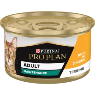 Purina Pro Plan Adult Maintenance, Wet Cat Food, Terrine rich in Chicken