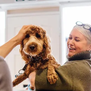 5 Hypoallergenic Dog Breeds