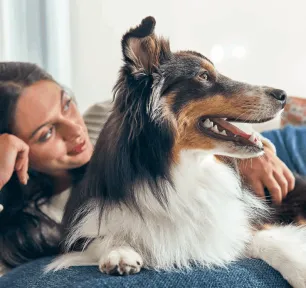 The Best Big Dog Names bannar