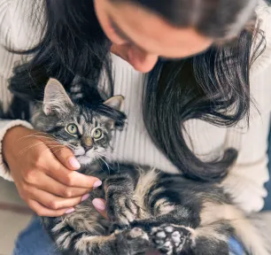 The Best Boy and Girl Kitten Names-bannar