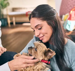 Puppy Buying Guide: Finding the Right Breeder