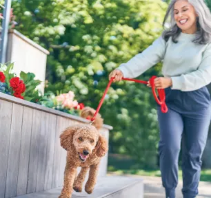Purina Website Banners