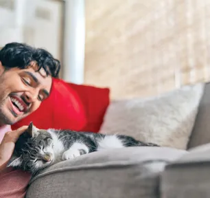 14 Mind-Blowing Facts about Cats
