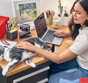 Unity2_D03S18A_OFFICE_DOG_CAT_BCAM-20527_FINAL