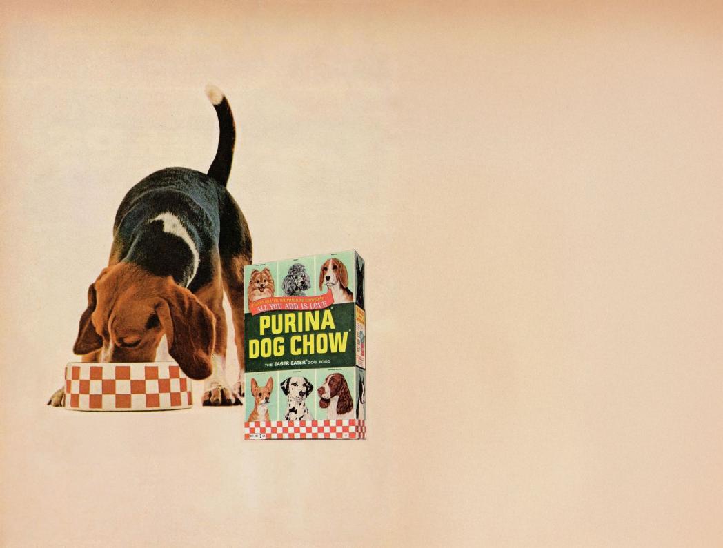 Aged image of dog eating next to box of Purina Dog Chow 