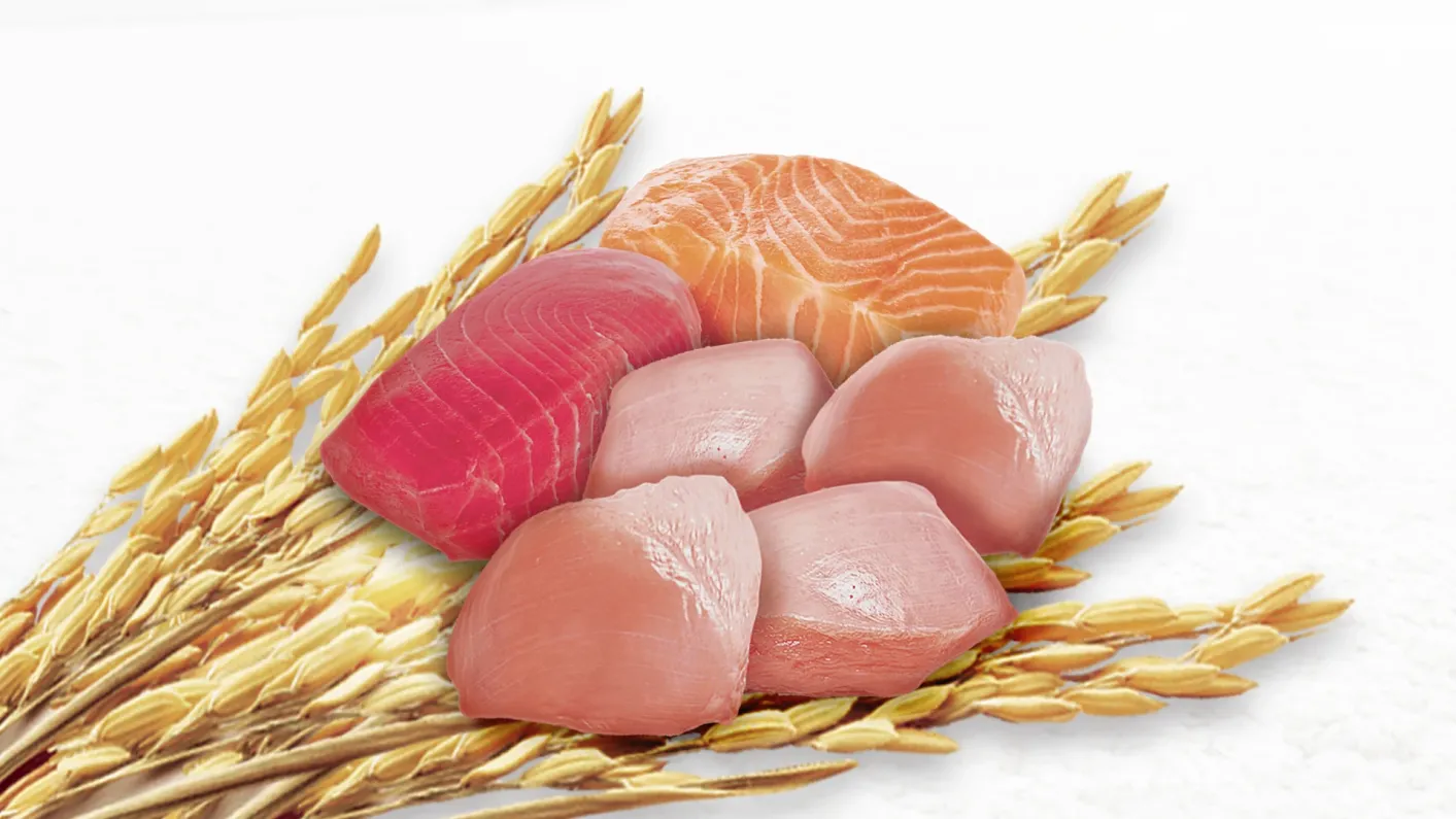 AOA_CENMKTG_PU_ONE_New Website-Text Img Module RM1_IMG_1920x1080px_2.webp