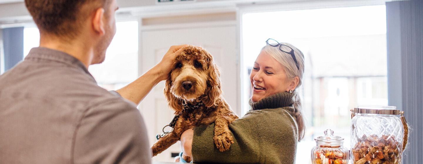 5 Hypoallergenic Dog Breeds