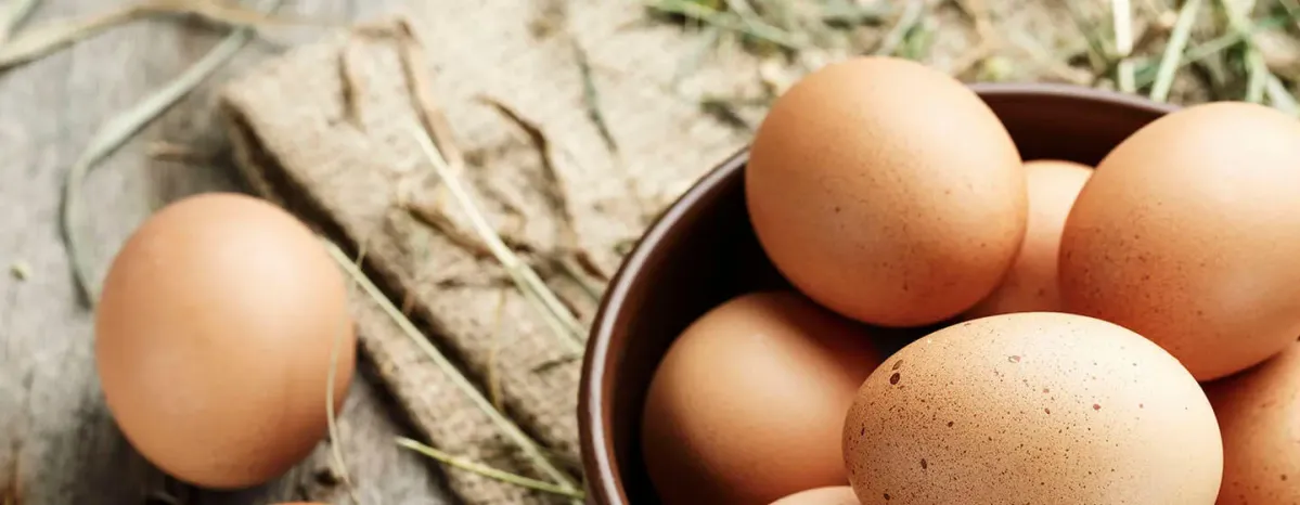 Can Dogs Eat Eggs?