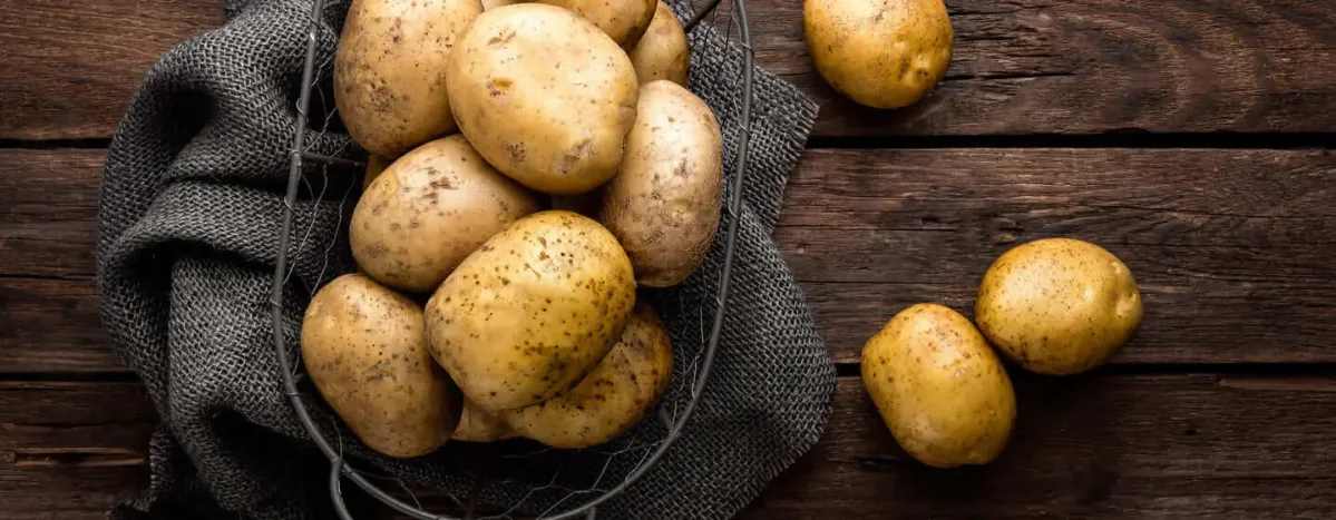 Can Dogs Eat Potatoes? 