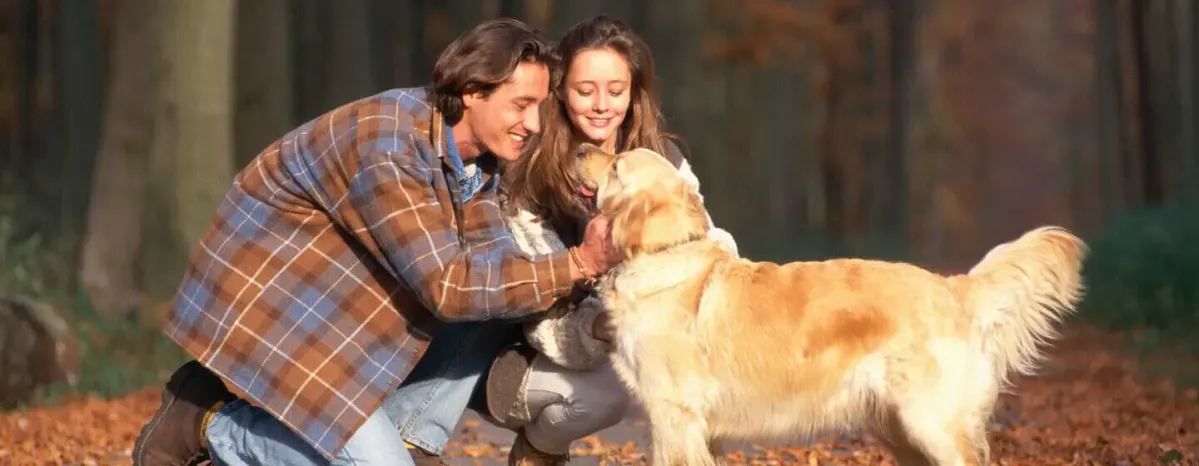 Why are dogs so loyal?