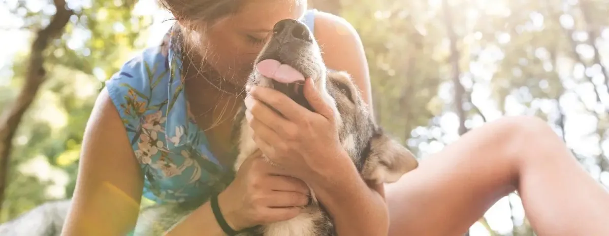Giving Up a Dog for Adoption
