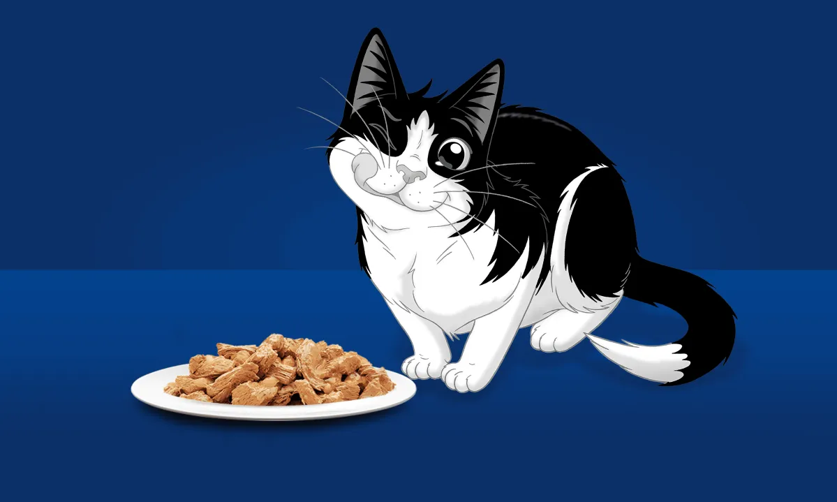 felix