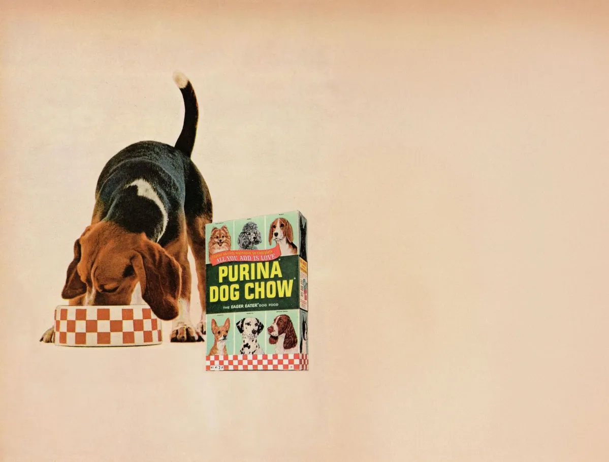 history-of-innovation-dog-chow 2