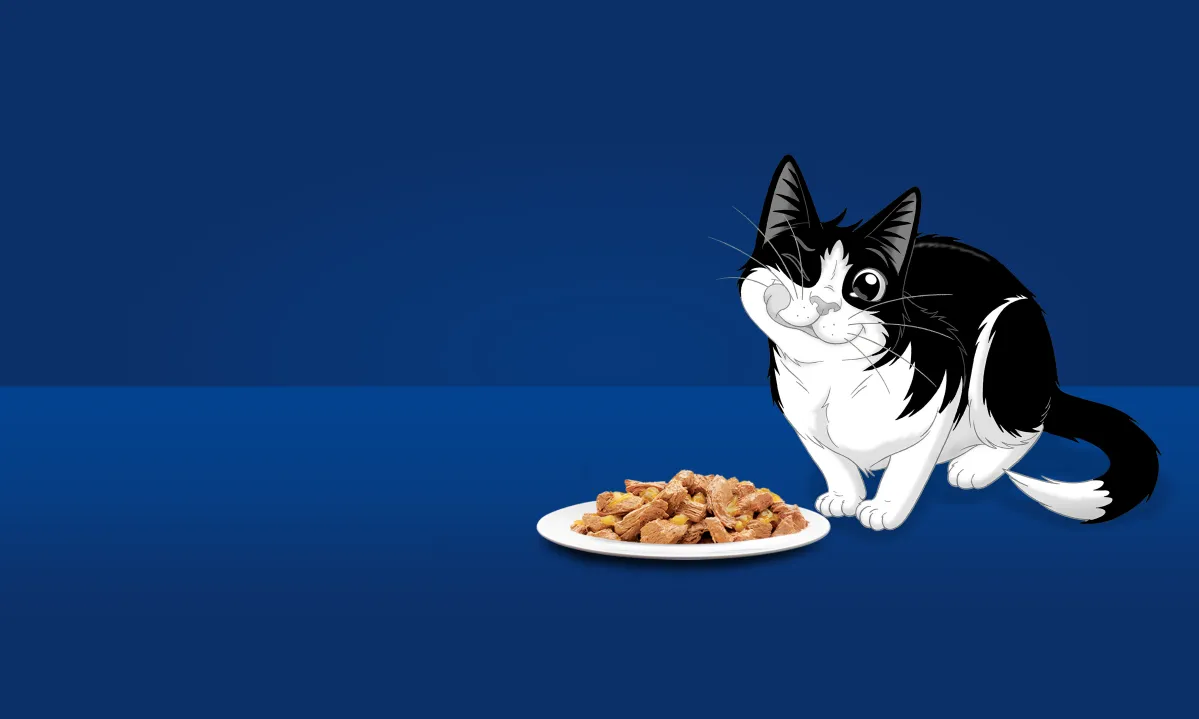 Felix