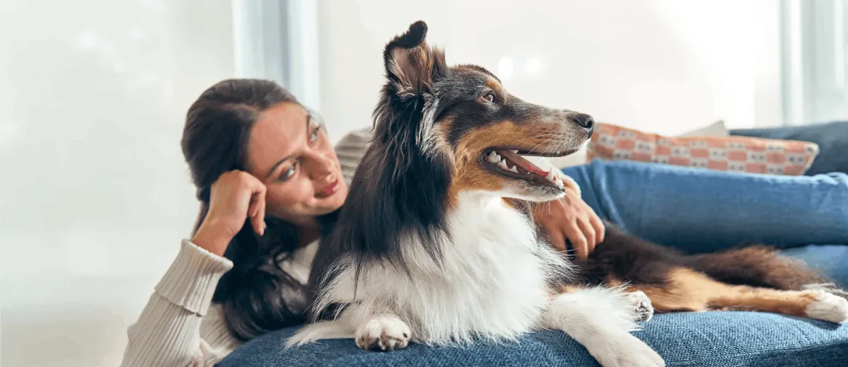 The Best Big Dog Names bannar