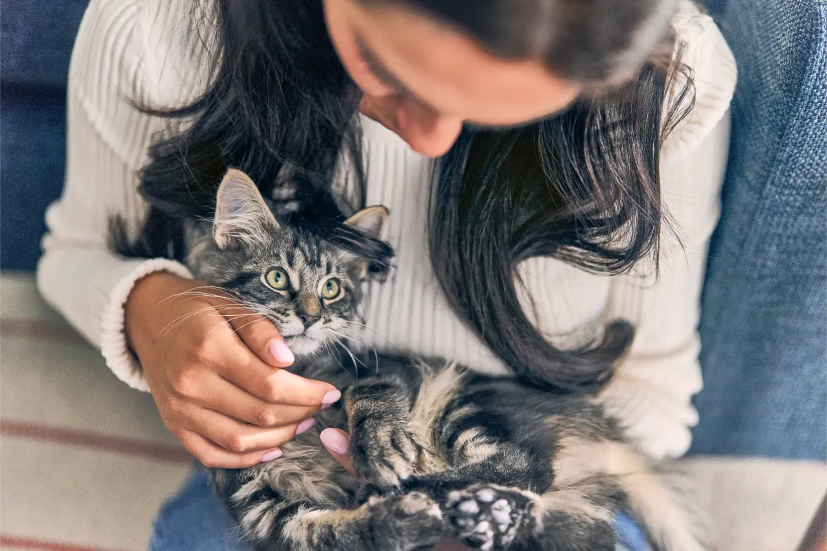 The Best Boy and Girl Kitten Names-bannar