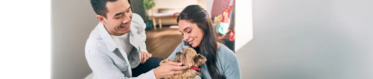 Puppy Buying Guide: Finding the Right Breeder