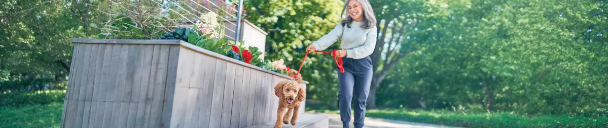 Purina Website Banners