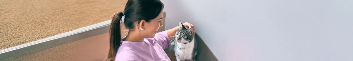 Cat Advice