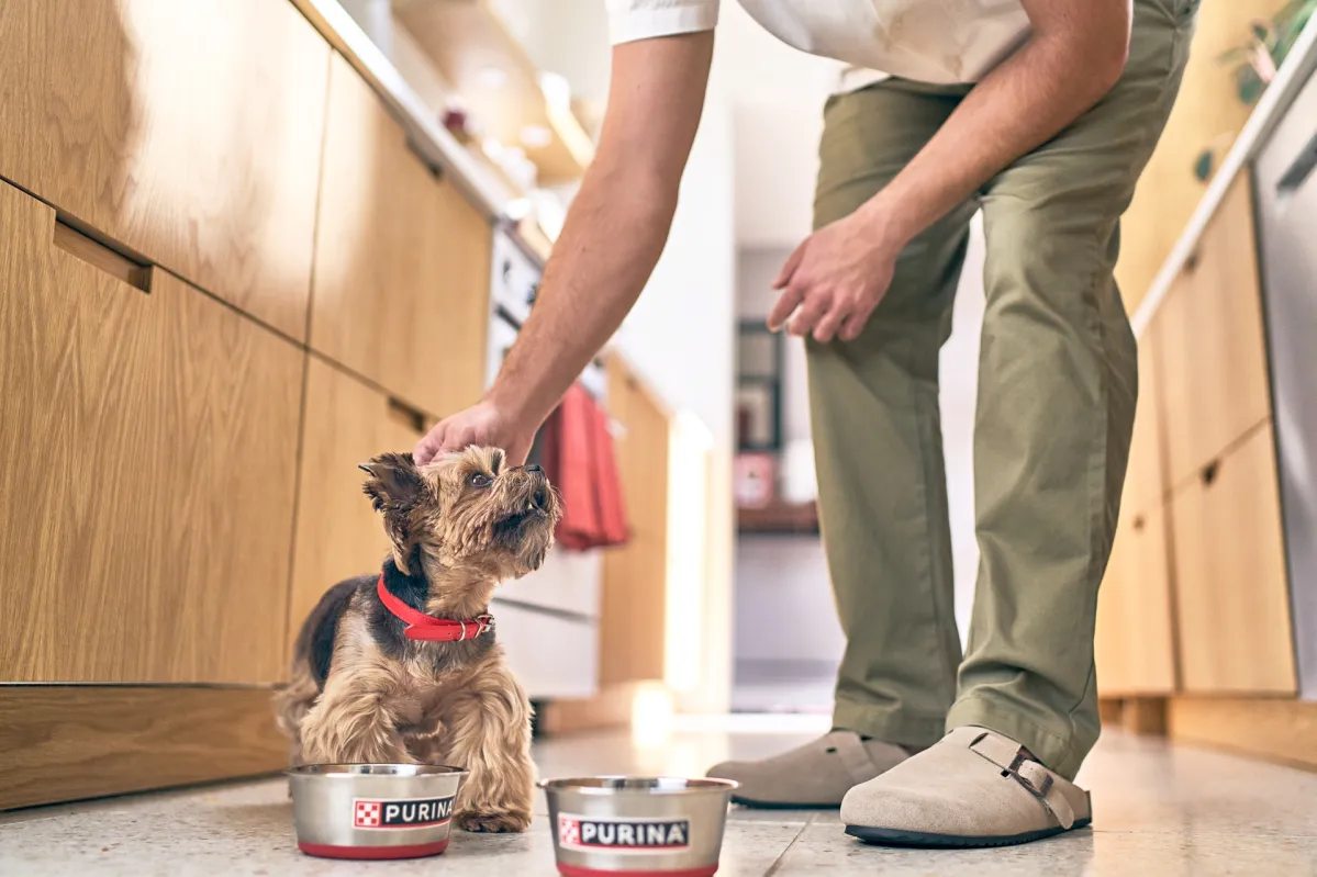 purina sustainability packaging dog food