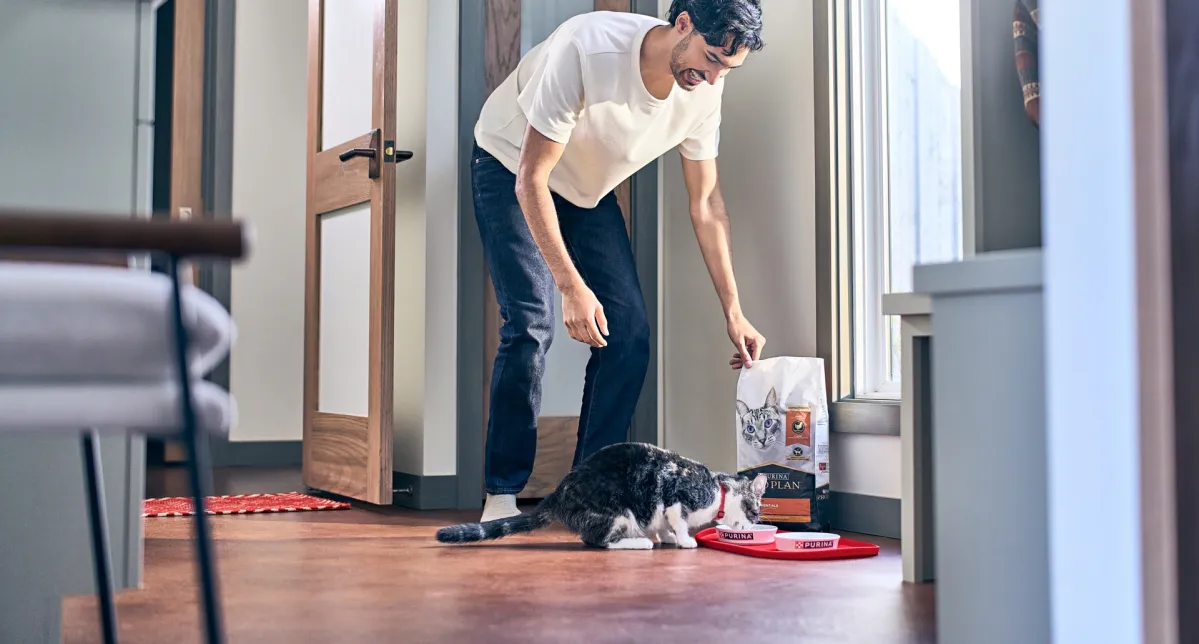 purina sustainability recycling man feeding cat