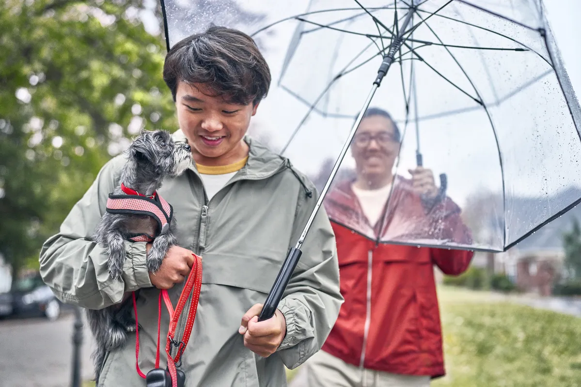 sustainability climate rain pet