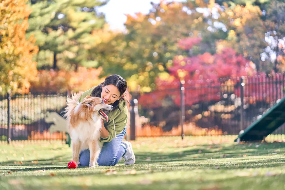 sustainability community woman dog park