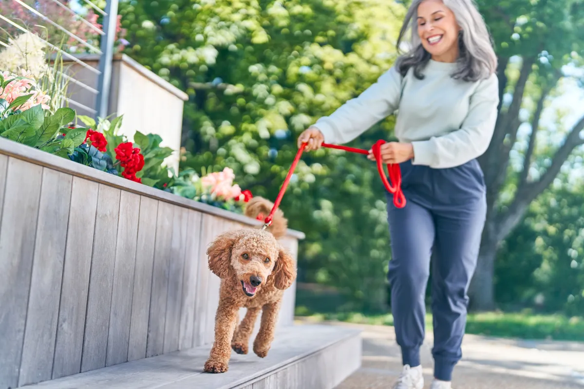 sustainability woman dog leash