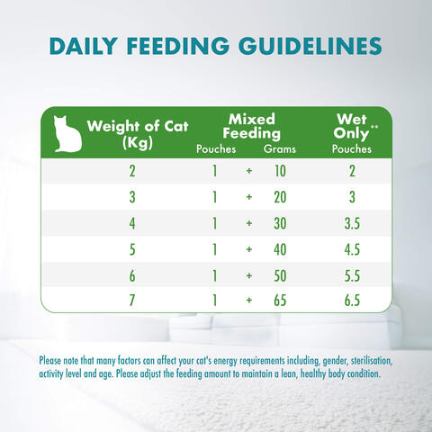 Adult Indoor with Chicken Feeding Guide