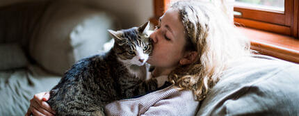 Cat_674742870_Hero