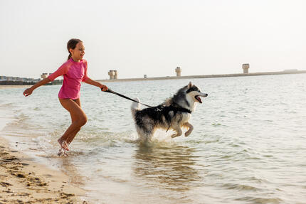 Woman smiling and hugging a dog – hero 