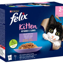 FELIX® As Good As it Looks Kitten Mixed Selection in Jelly Wet Cat Food