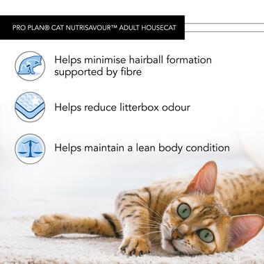 PRO PLAN Housecat NUTRISAVOUR Salmon in Gravy Wet Cat Food
