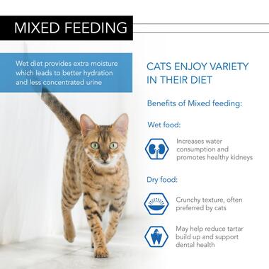 PRO PLAN® Sensitive Digestion NUTRISAVOUR Ocean Fish in Gravy Wet Cat Food