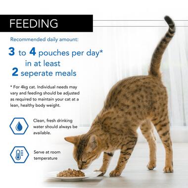 PRO PLAN Housecat NUTRISAVOUR Salmon in Gravy Wet Cat Food