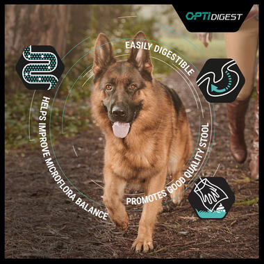 PRO PLAN Medium Sensitive Digestion Lamb Dry Dog Food