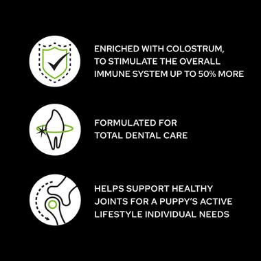 PRO PLAN Medium Puppy OPTISTART Chicken Dry Dog Food