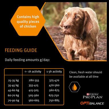 PRO PLAN Large Robust OPTIBALANCE Chicken Dry Dog Food