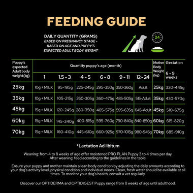 PRO PLAN Large Robust Puppy OPTISTART Chicken Dry Dog Food