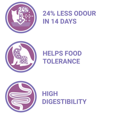 PURINA ONE® Sensitive Turkey and Rice Dry Cat Food