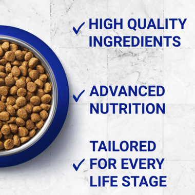 PURINA ONE® Sensitive Turkey and Rice Dry Cat Food
