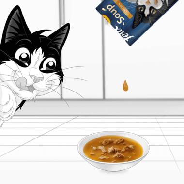 FELIX® Soup Farm Selection Wet Cat Food | Purina
