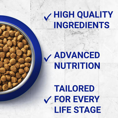 PURINA ONE® Kitten Chicken and Wholegrain Dry Cat Food