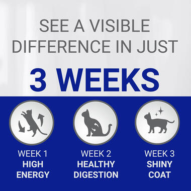 PURINA ONE® Coat and Hairball Chicken and Wholegrain Dry Cat Food