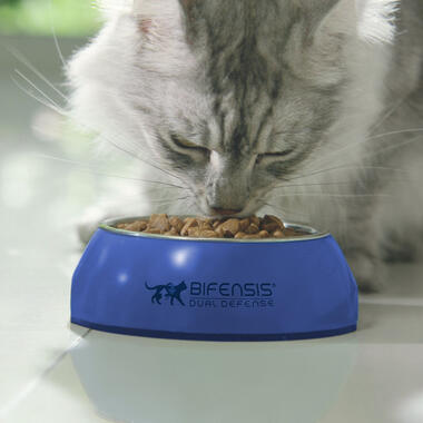 PURINA ONE® Kitten Chicken and Wholegrain Dry Cat Food