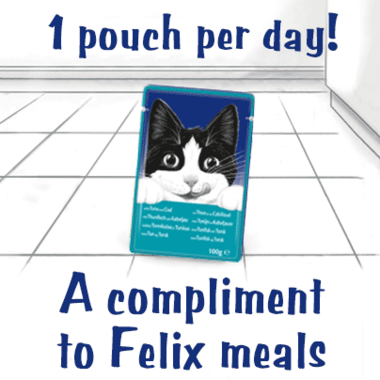 36 x 48g Felix Soup Wet Cat Food - 30 + 6 Free!